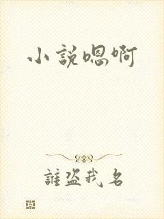 小说嗯啊封面