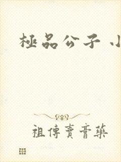 极品公子 小说