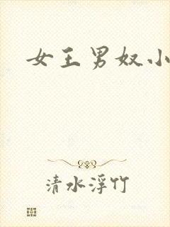 女王男奴小说封面