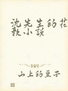 沈先生的花式调教小说