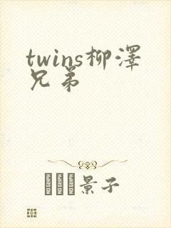 twins柳泽兄弟封面