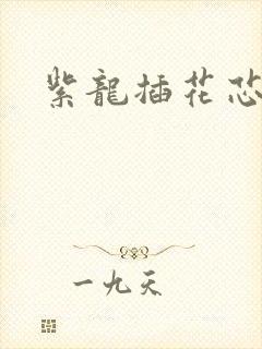 紫龙插花芯