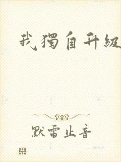 我独自升级2