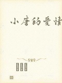 小唐的爱情史