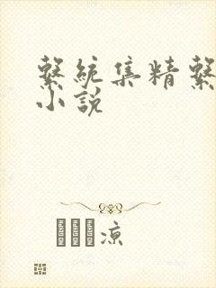 系统集精系统 小说封面