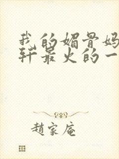 我的媚骨妈妈林轩最火的一句