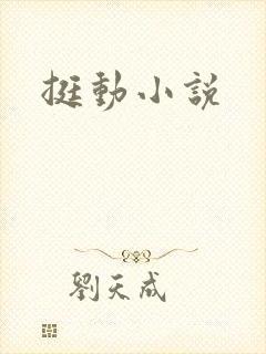 挺动小说