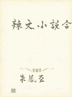 辣文小说合集