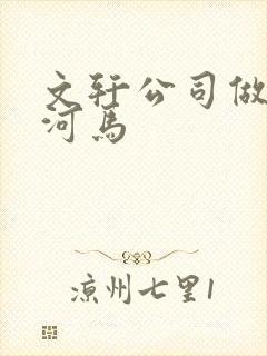 文轩公司做扩张河马