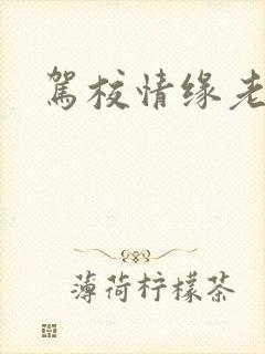 驾校情缘老赵