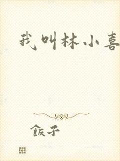 我叫林小喜17