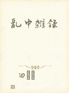 乱中杂录