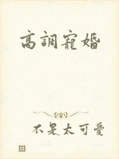 高调宠婚