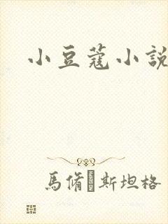 小豆蔻小说
