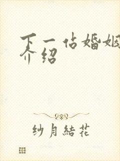 下一站婚姻剧情介绍封面