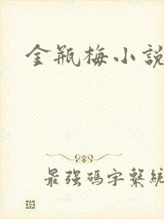 金瓶梅小说封面