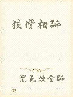 狡猾相师封面