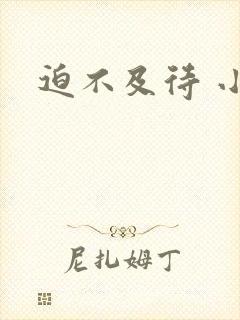 迫不及待 小穴