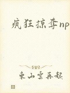 疯狂掠夺npc