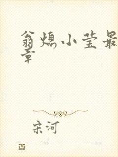 翁熄小莹最新节章封面