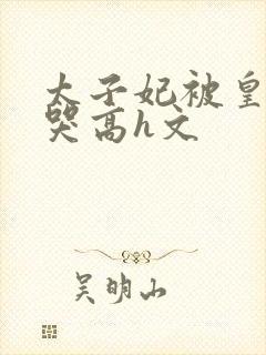 太子妃被皇上c哭高h文