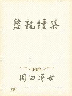 盘龙续集封面