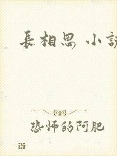长相思 小说封面