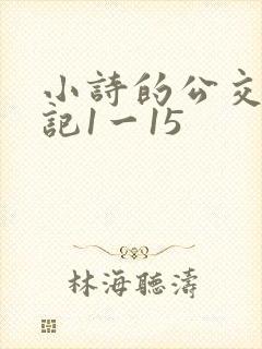 小诗的公交车日记1一15
