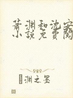 萧渊和沈安安的小说免费阅读