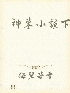 神墓小说下载