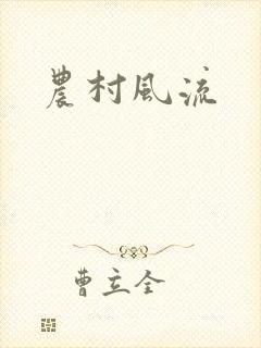 农村风流