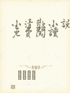 小清欢小说全文免费阅读封面