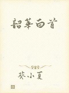 韶华白首