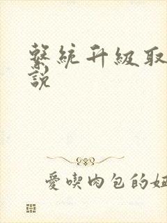 系统升级取液小说封面