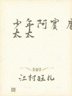 少年阿宾 房东太太