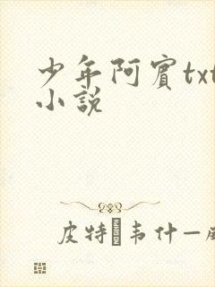 少年阿宾txt小说