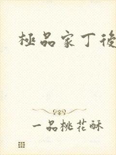 极品家丁后传