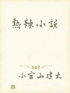 热辣小说