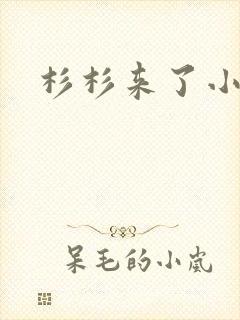 杉杉来了小说
