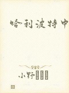 哈利波特中文版