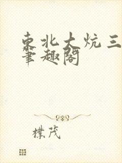 东北大炕三部曲笔趣阁