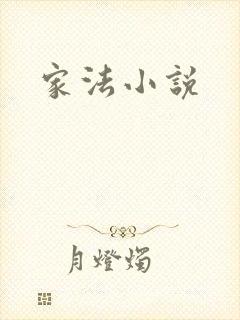 家法小说