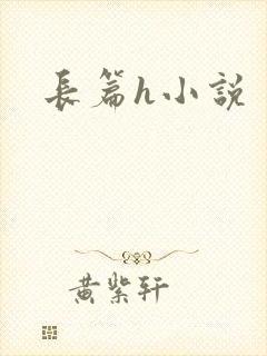 长篇h小说