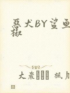 恶犬BY鲨鱼辣椒