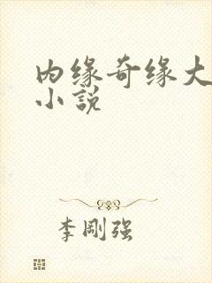 内缘奇缘大团圆小说
