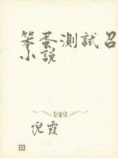 笨蛋测试召唤兽小说