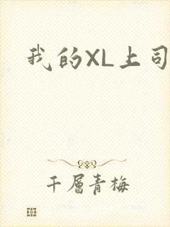 我的XL上司封面