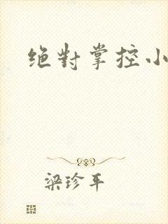 绝对掌控小说