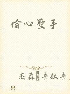 偷心圣手
