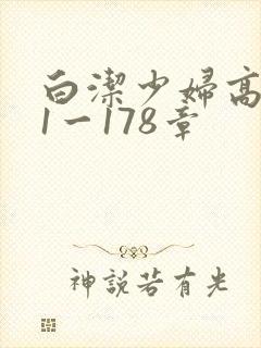 白洁少妇高义第1一178章封面